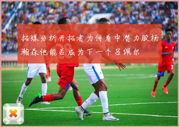 拓媒分析开拓者为何看中潜力股杨瀚森他能否成为下一个吕佩尔