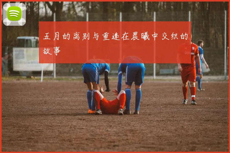 五月的离别与重逢在晨曦中交织的故事